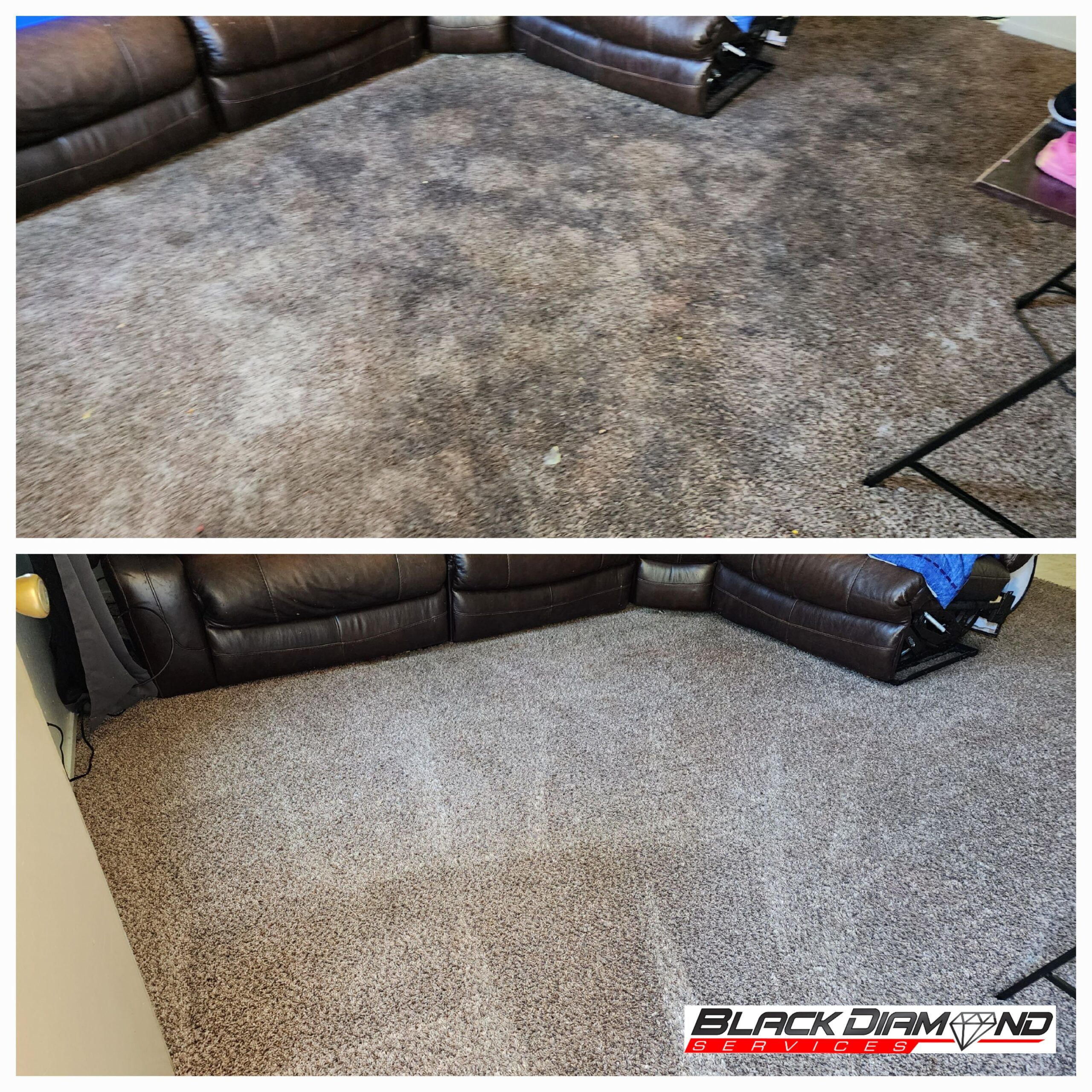 Carpet Cleaning Oakdale Tri