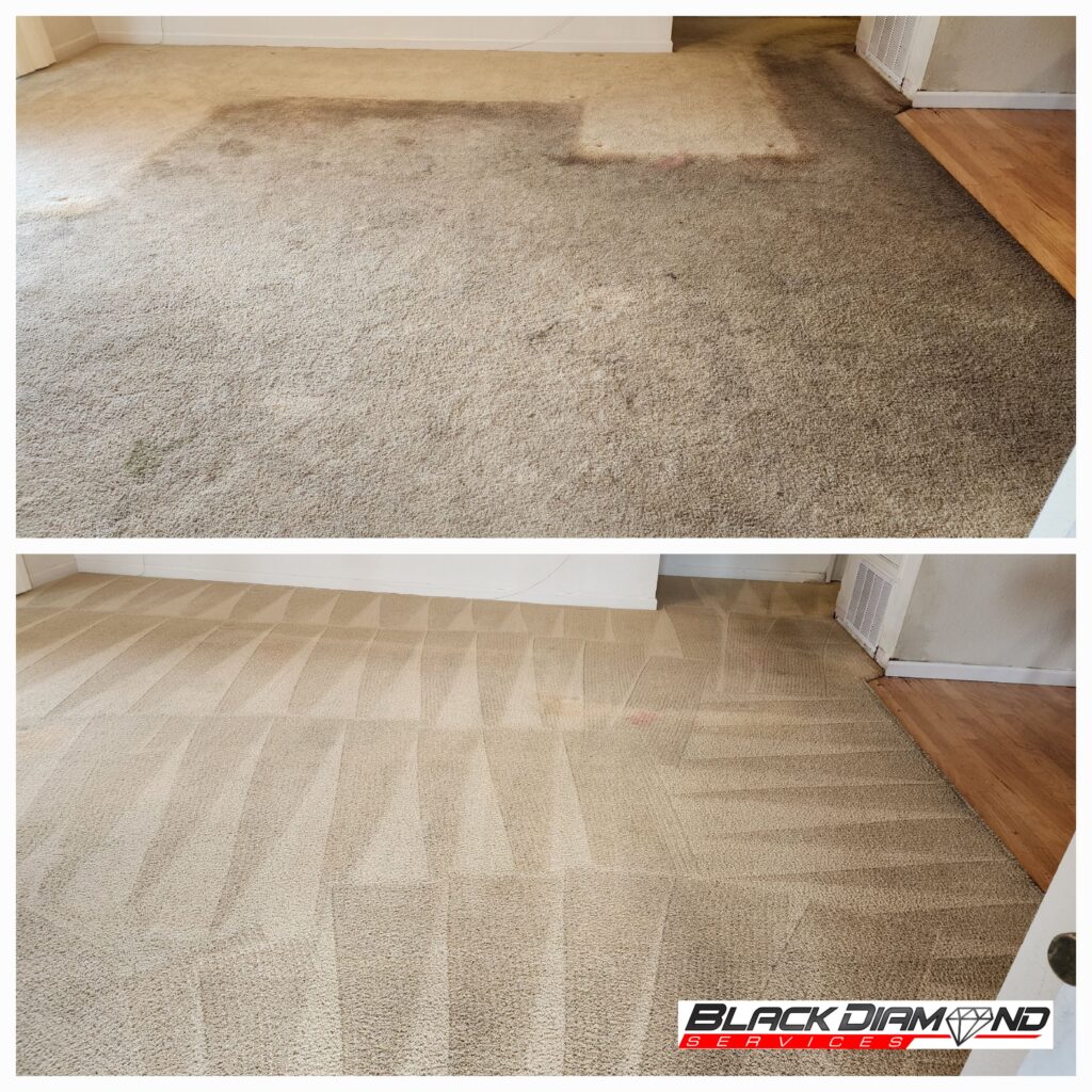 Room Carpet Cleaning Before/After