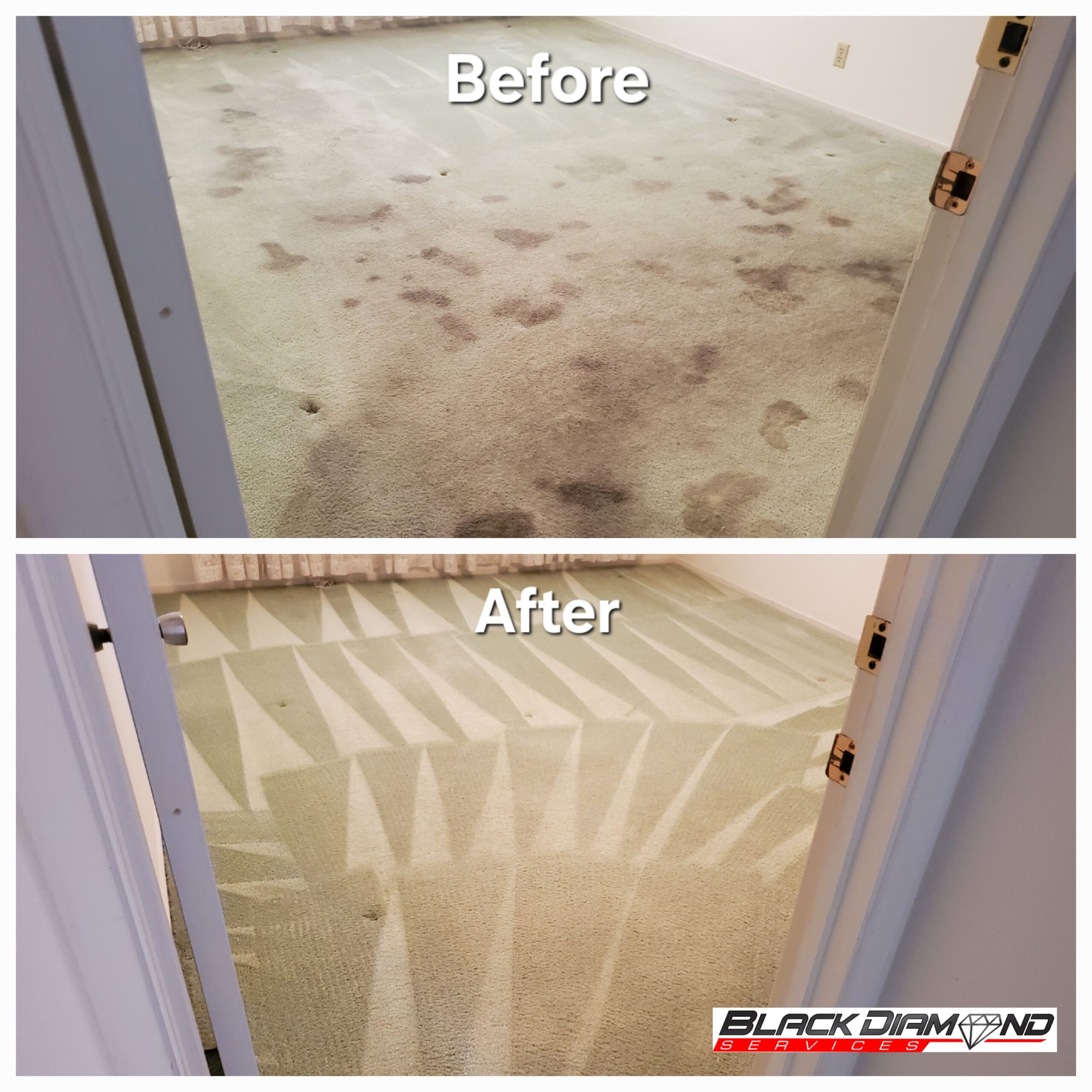 Before and After of severe pet stain removal