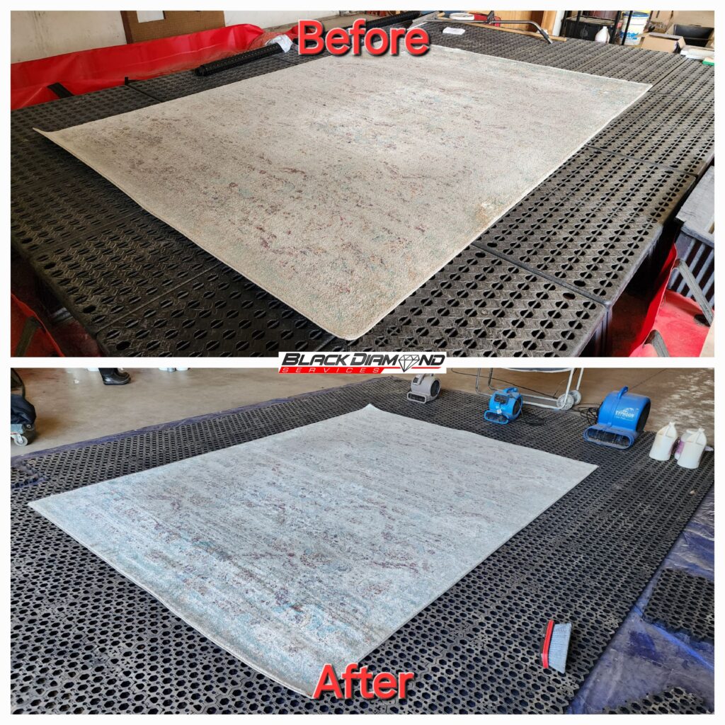 Professional Area rug services