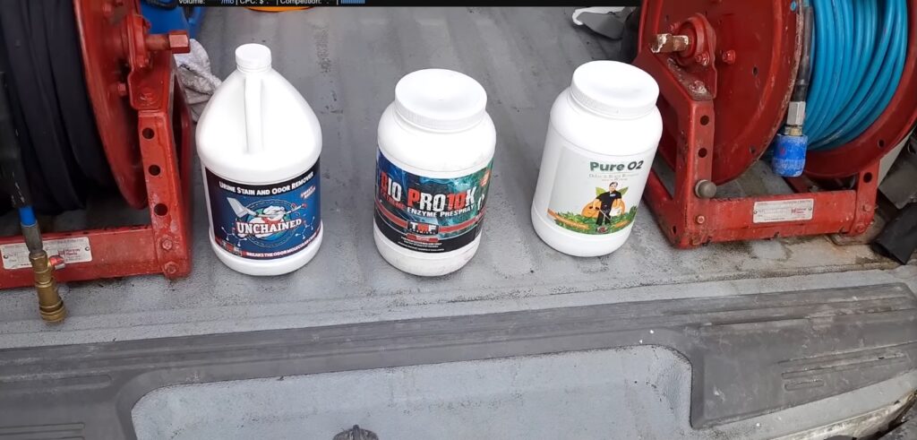 How Professional Carpet Cleaners Remove Pet Urine: A Step-by-Step Walkthrough 2 How Professional Carpet Cleaners Remove Pet Urine: A Step-by-Step Walkthrough