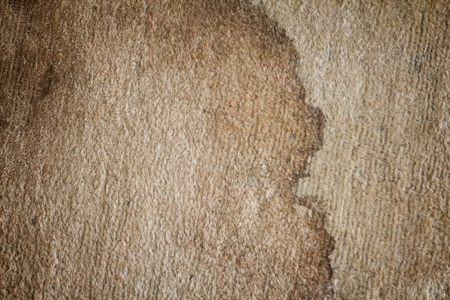 How Professionals Clean Heavily Soiled Carpet: When Dirt — Not Stains — Is the Problem 1 How Professionals Clean Heavily Soiled Carpet: When Dirt — Not Stains — Is the Problem